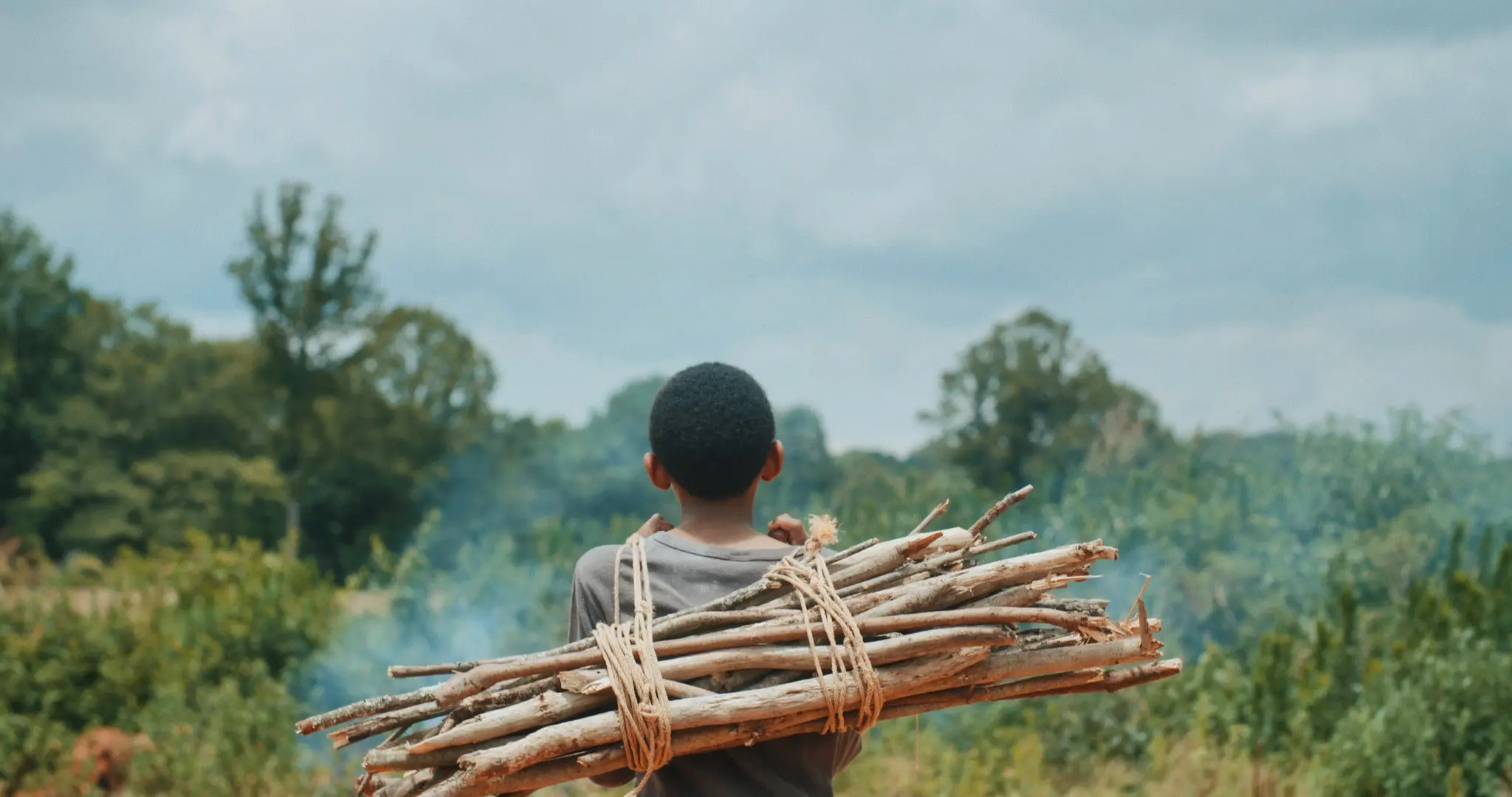 A person carrying firewood through the countryside