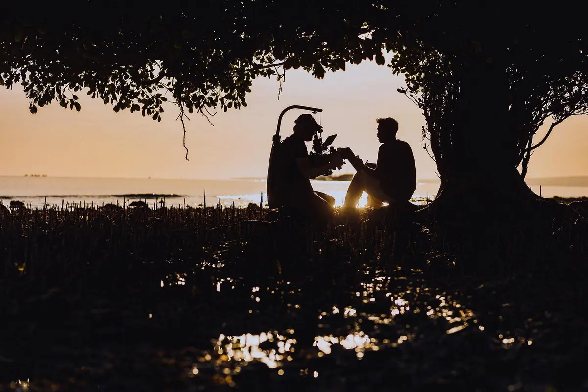Two people silhouetted beneath a tree at sunset